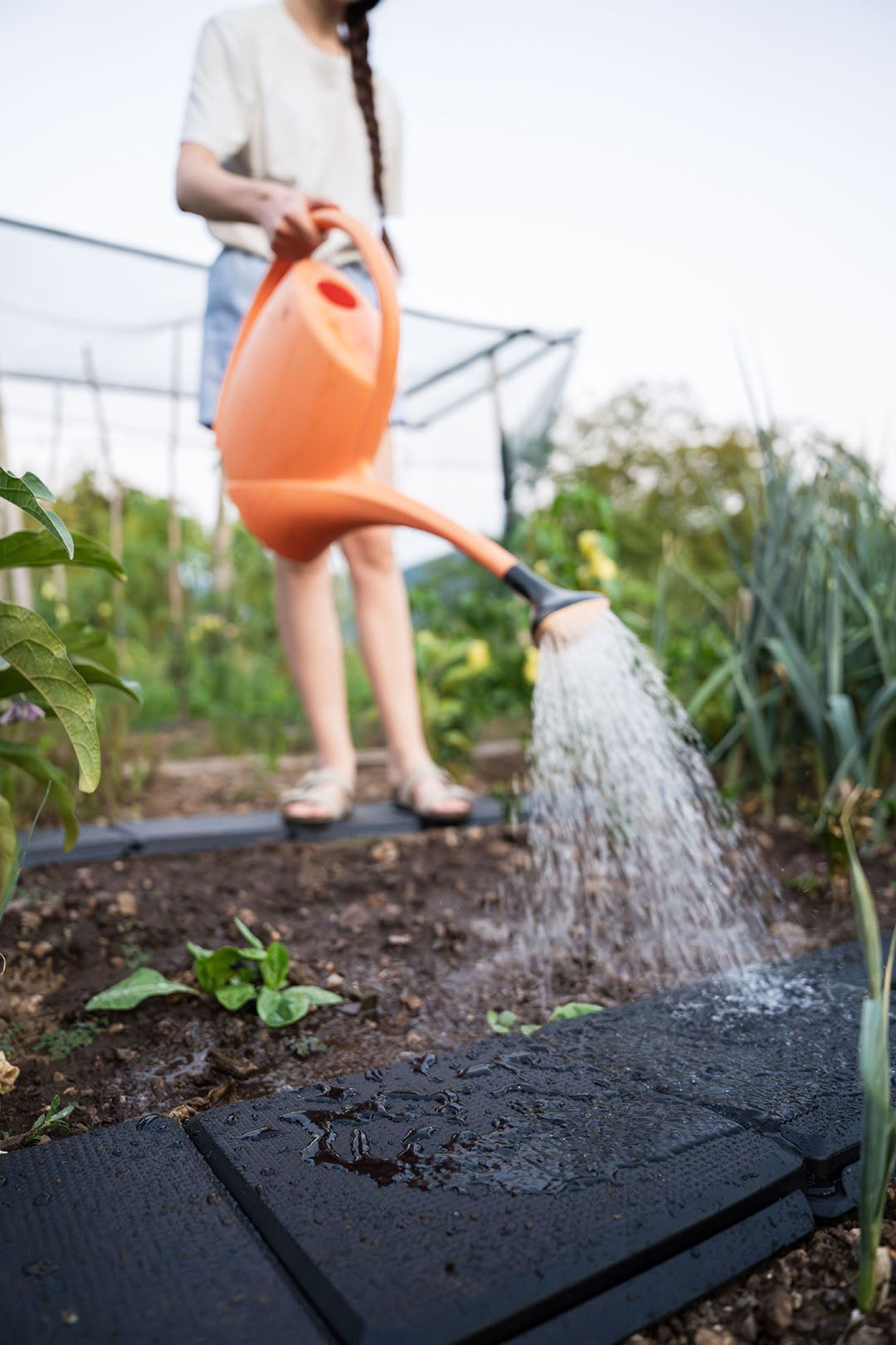 Eine Person mit einer orangefarbenen Gießkanne bewässert Gartenpflanzen, während sie auf den Gehplatten steht